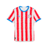 Paraguay 26 Home Replica Jersey