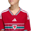 Wales 2026 Home Jersey - Youth