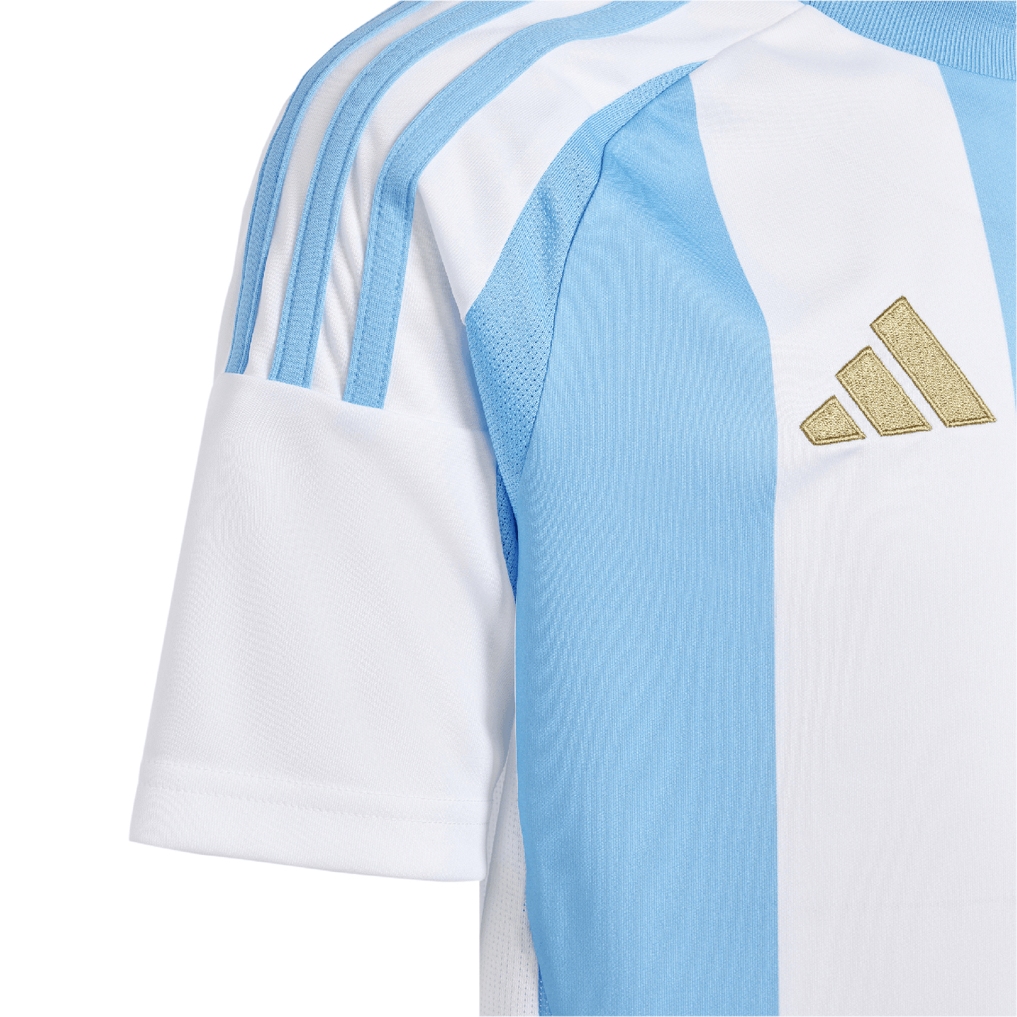 Argentina 2024 Home Jersey - Youth